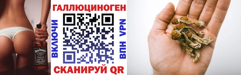 Псилоцибиновые грибы ЛСД  mega как войти  Чернушка 